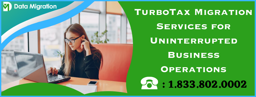 TurboTax Migration Services