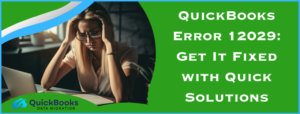 QuickBooks Error 12029
