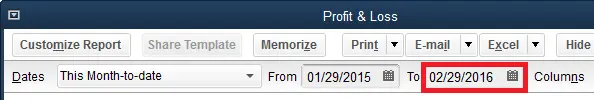 QuickBooks Profit Loss Window
