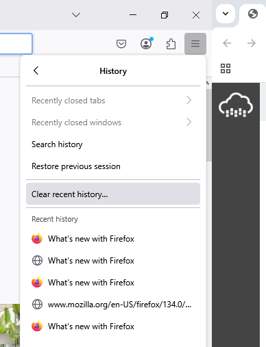 Clear Recent History
