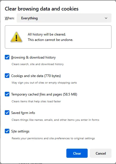 clear the browsing history on this browser
