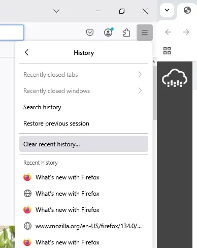 Clear Recent History